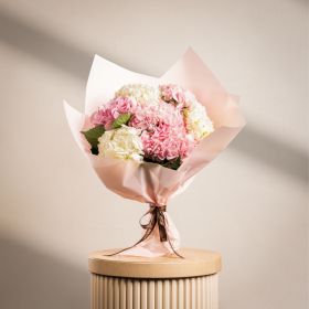 Blush And Ivory Hydrangea Harmony