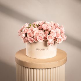 Pink Whisper Acrylic Box