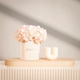 Velvet David